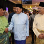 dmdi indonesia