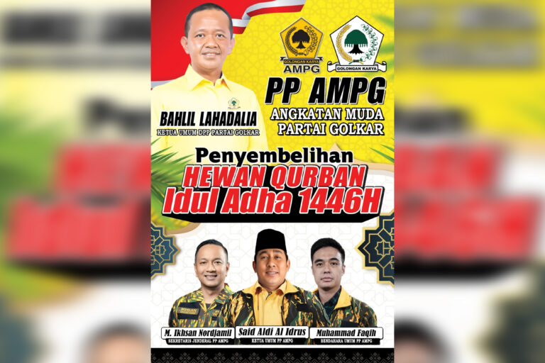 pp ampg